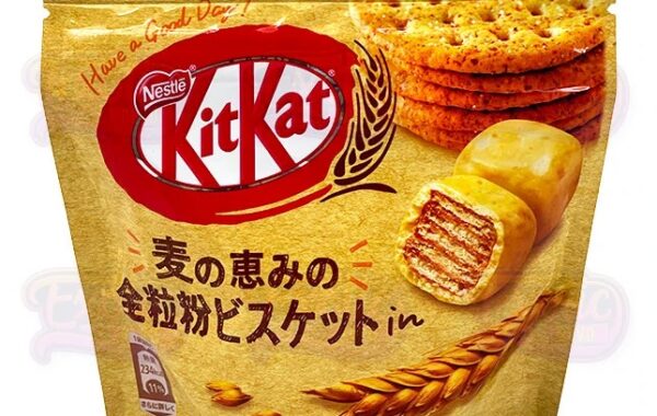 Kit Kat Bites Graham Cracker (Japan) – Cognizant Card Breaks