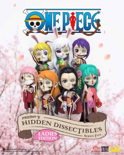 Freeny's Hidden Dissectibles: One Piece